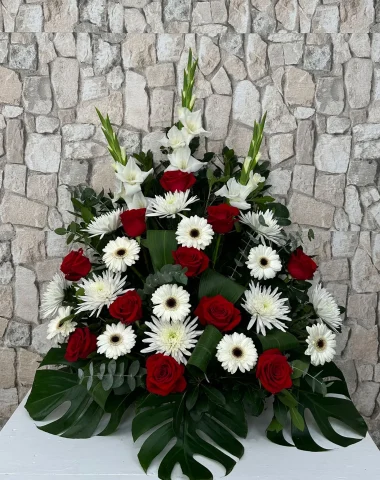 IMG_1581-2.webp