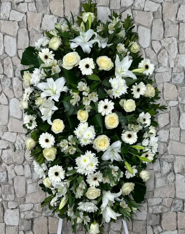 IMG_1667.webp