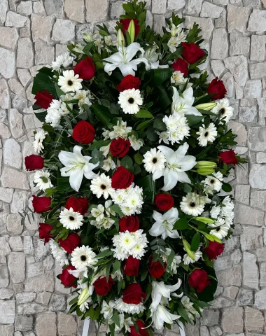IMG_1677.webp
