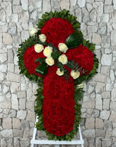 cruz_bermeo