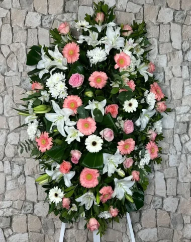 palma_arlanzon