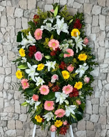 palma_baeza