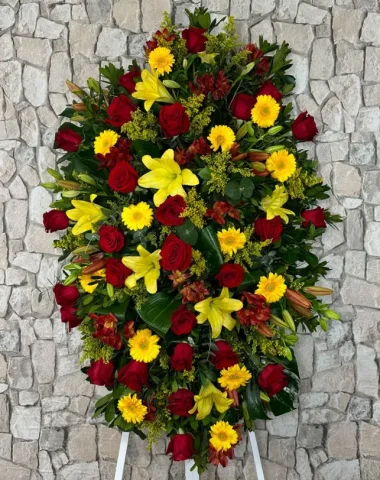 palma_bolarque